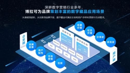 四川省委网信办调研博拉网络 鼓励用好元宇宙技术服务企业数字化转型